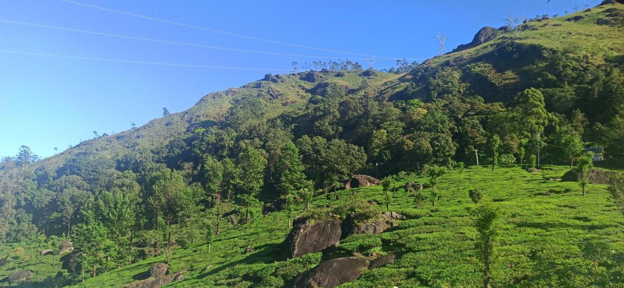 Tea Dale - All Rooms With Tea Estate View Munnar Buitenkant foto