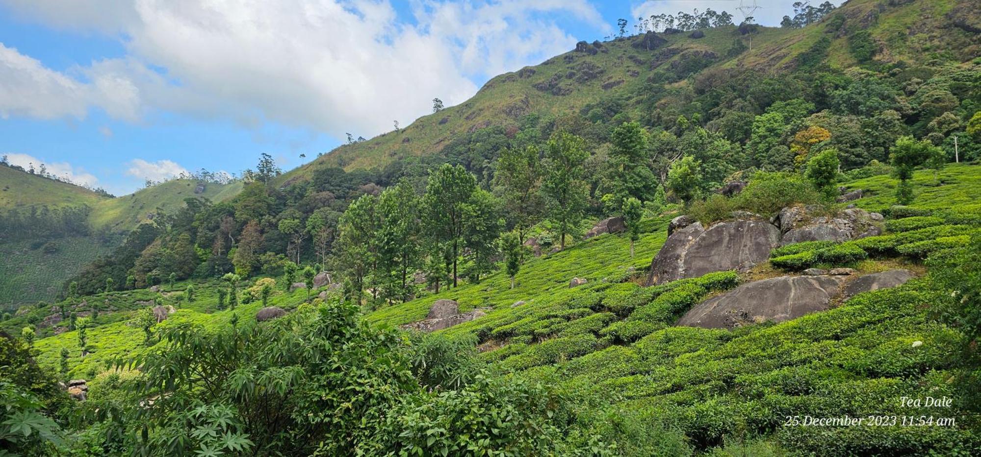 Tea Dale - All Rooms With Tea Estate View Munnar Buitenkant foto