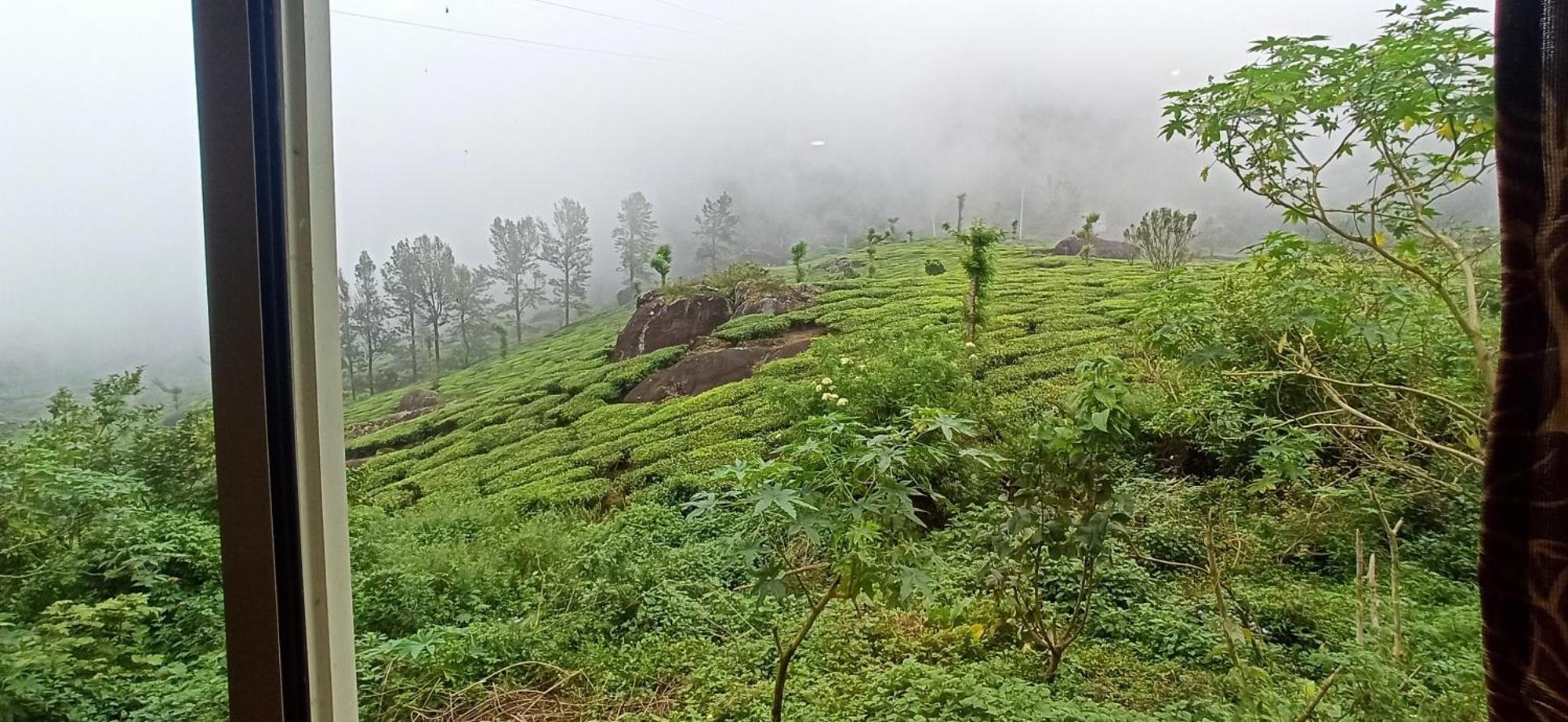 Tea Dale - All Rooms With Tea Estate View Munnar Buitenkant foto