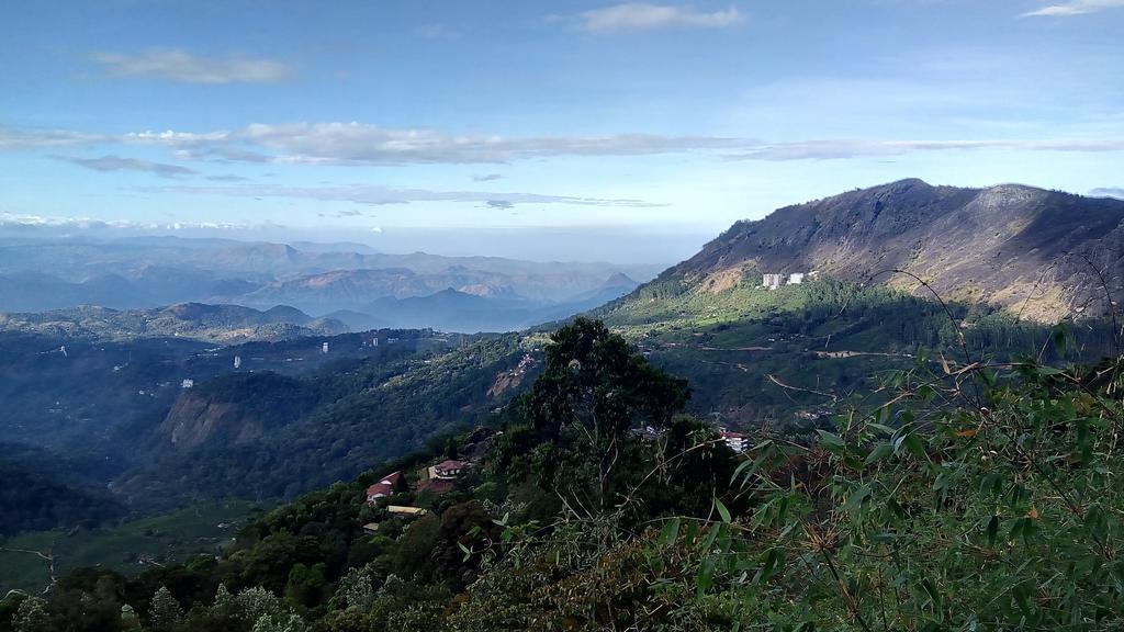 Tea Dale - All Rooms With Tea Estate View Munnar Buitenkant foto