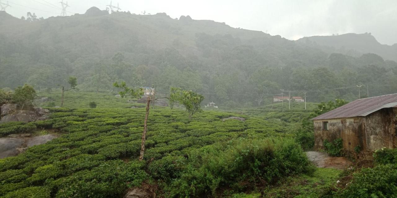Tea Dale - All Rooms With Tea Estate View Munnar Buitenkant foto