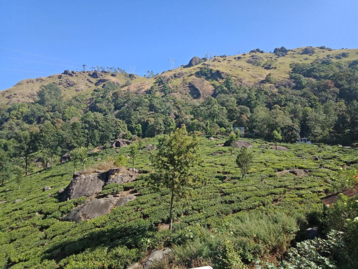 Tea Dale - All Rooms With Tea Estate View Munnar Buitenkant foto