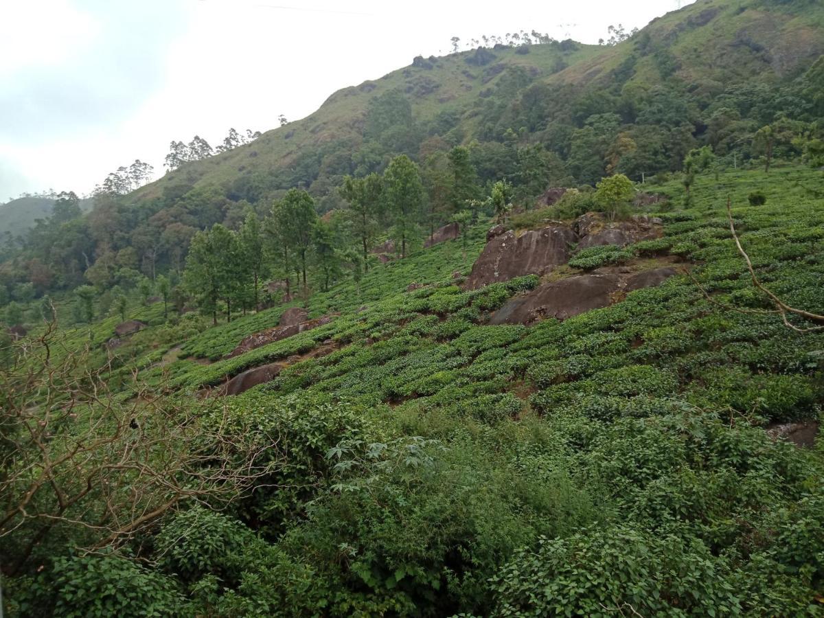 Tea Dale - All Rooms With Tea Estate View Munnar Buitenkant foto