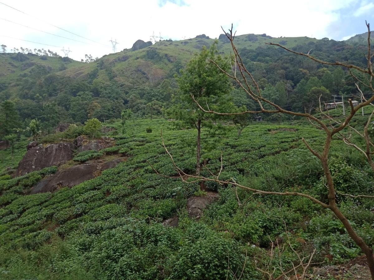 Tea Dale - All Rooms With Tea Estate View Munnar Buitenkant foto